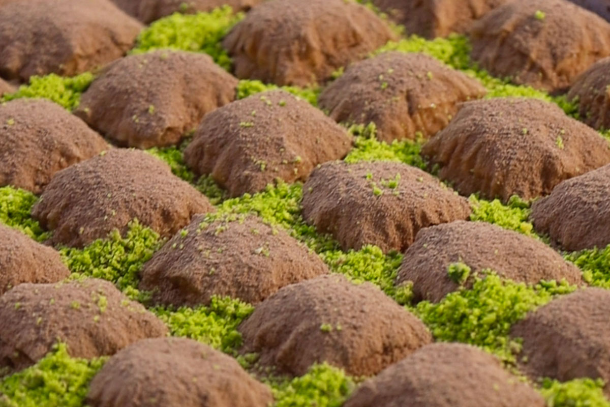 Soğuk baklava ilk kez tezgahta